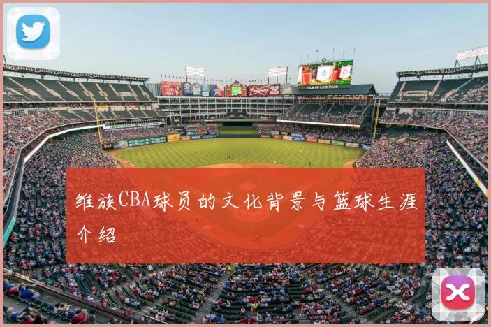 维族CBA球员的文化背景与篮球生涯介绍