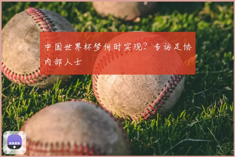 中国世界杯梦何时实现?专访足协内部人士