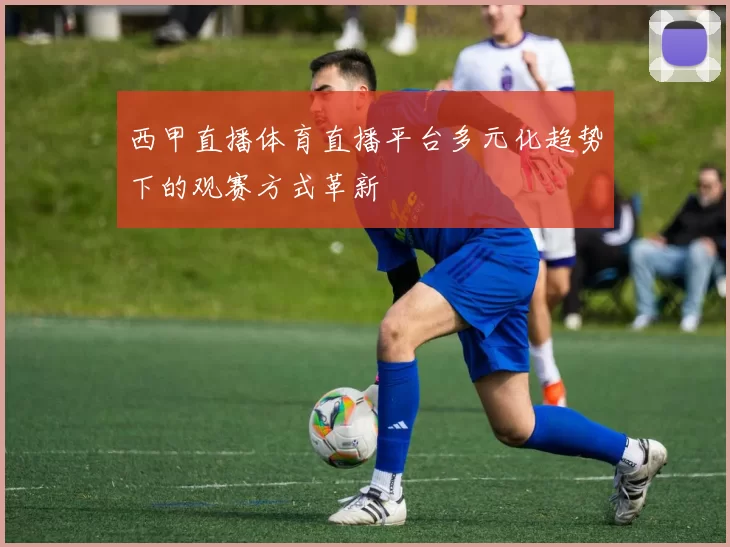 西甲直播体育直播平台多元化趋势下的观赛方式革新