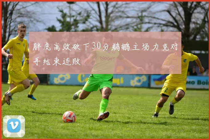 胖虎高效砍下30分鹈鹕主场力克对手结束连败