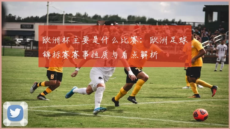 欧洲杯主要是什么比赛：欧洲足球锦标赛赛事性质与看点解析