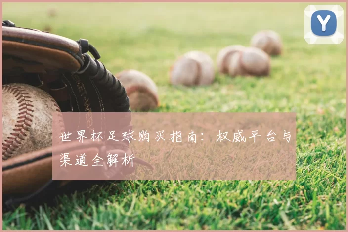 世界杯足球购买指南：权威平台与渠道全解析