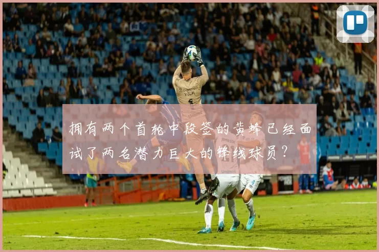拥有两个首轮中段签的黄蜂已经面试了两名潜力巨大的锋线球员？