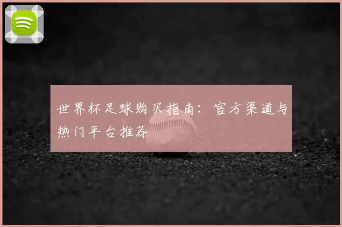 世界杯足球购买指南：官方渠道与热门平台推荐