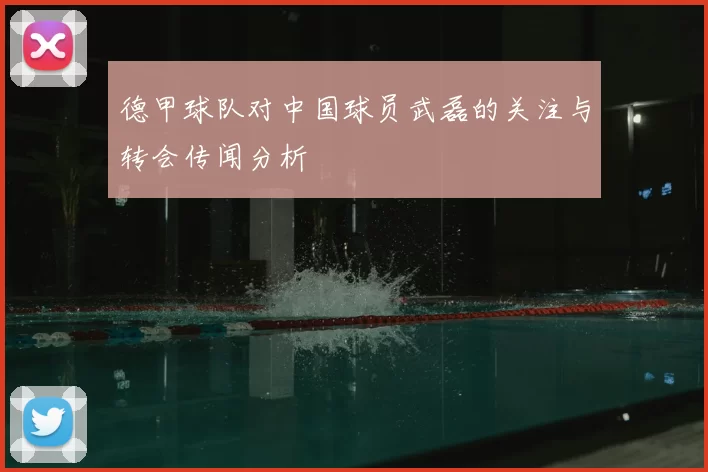 德甲球队对中国球员武磊的关注与转会传闻分析