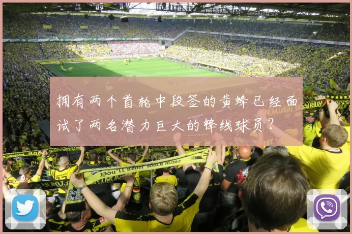 拥有两个首轮中段签的黄蜂已经面试了两名潜力巨大的锋线球员？