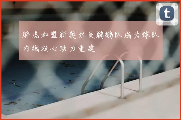 胖虎加盟新奥尔良鹈鹕队成为球队内线核心助力重建