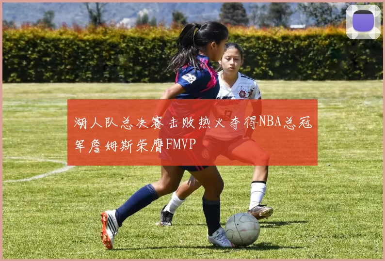 湖人队总决赛击败热火夺得NBA总冠军詹姆斯荣膺FMVP