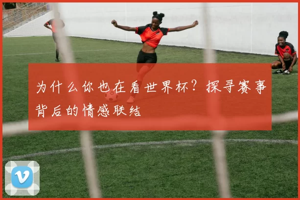 为什么你也在看世界杯?探寻赛事背后的情感联结