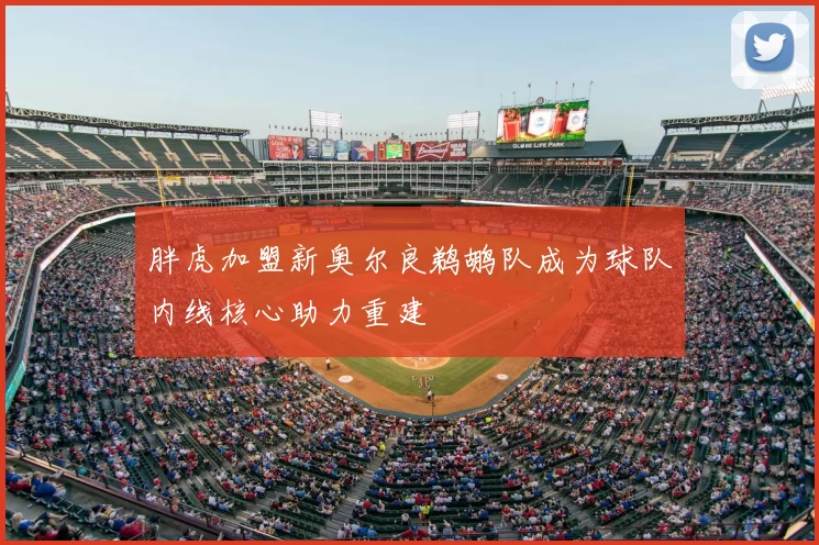 胖虎加盟新奥尔良鹈鹕队成为球队内线核心助力重建