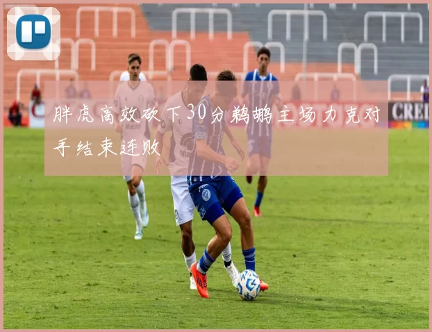 胖虎高效砍下30分鹈鹕主场力克对手结束连败