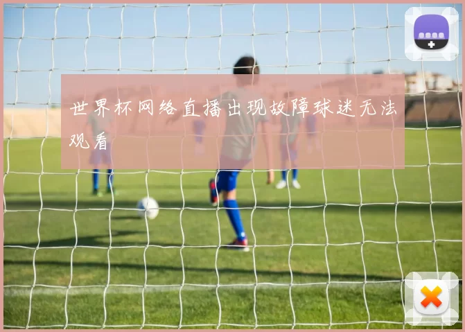 世界杯网络直播出现故障球迷无法观看