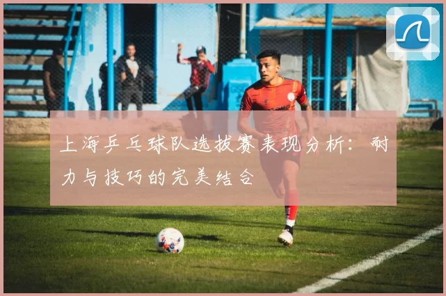 上海乒乓球队选拔赛表现分析：耐力与技巧的完美结合
