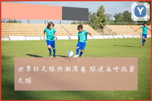 世界杯足球热潮席卷 球迷高呼我爱足球