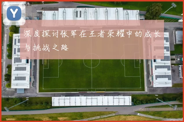 深度探讨张军在王者荣耀中的成长与挑战之路