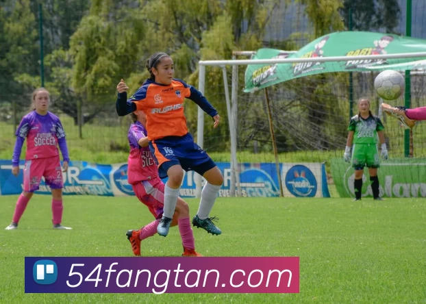 九游体育平台生态图